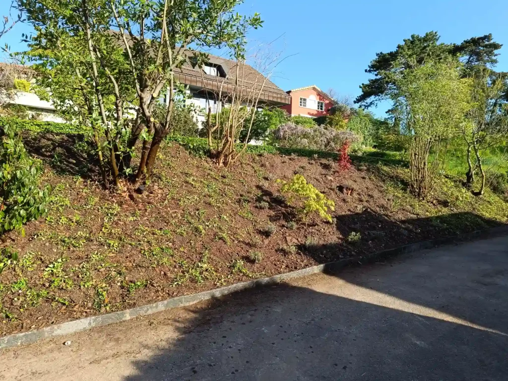 Entretien d'une bordure