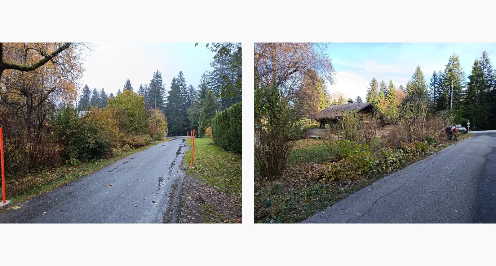 Avant-après taille de haies